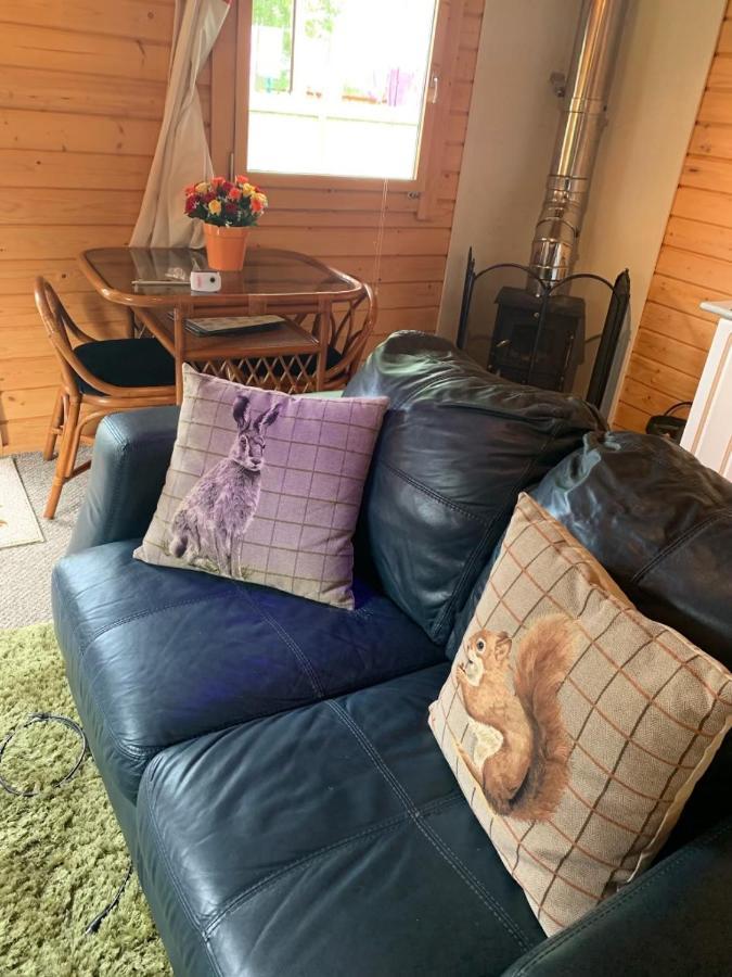 Vila Cosy Countryside Cabin Inverness Exteriér fotografie